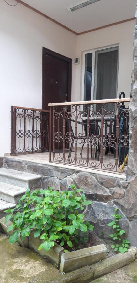 Ira & Vaso'S Guest House Borjomipark Extérieur photo