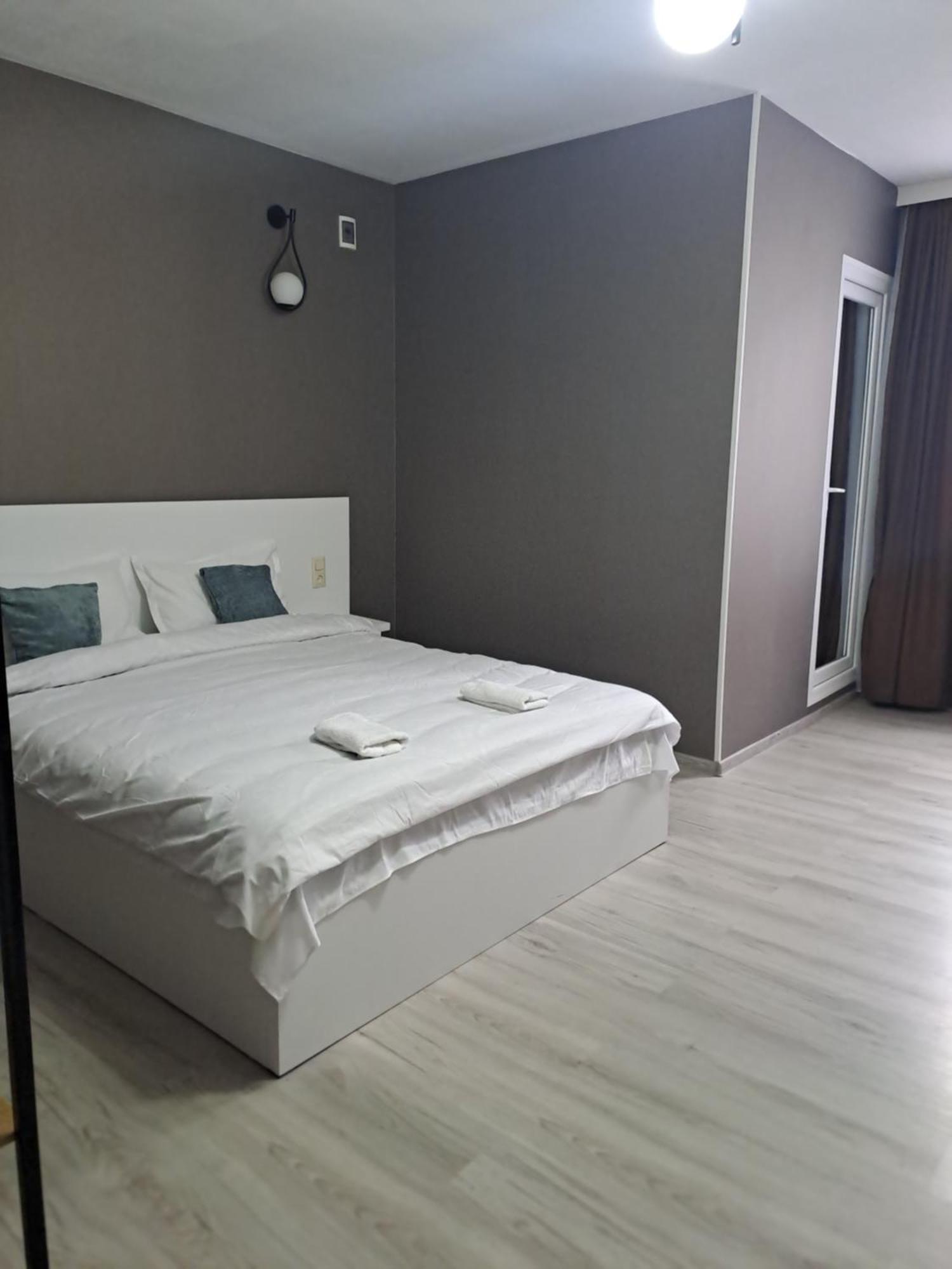 Ira & Vaso'S Guest House Borjomipark Extérieur photo