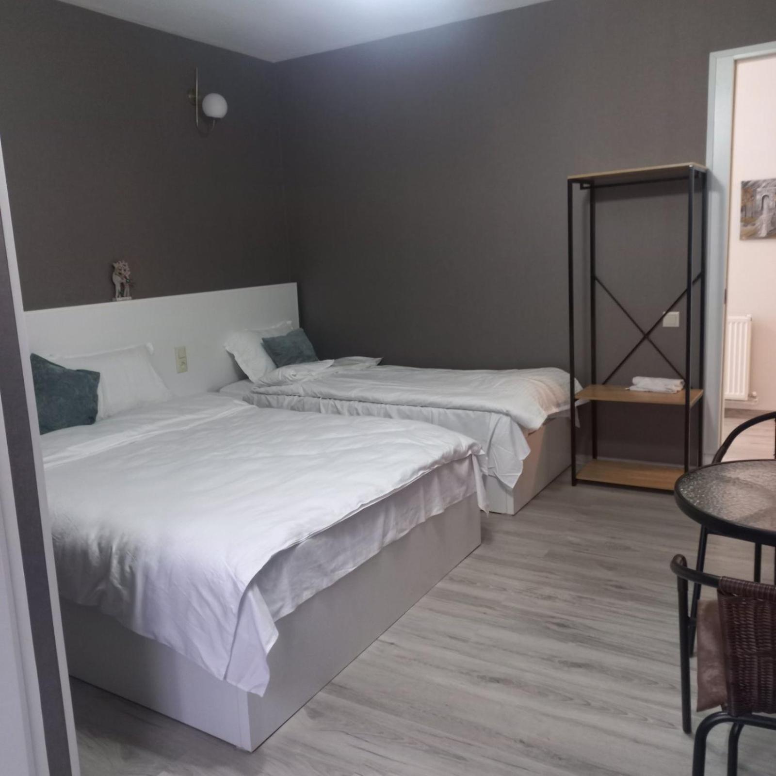 Ira & Vaso'S Guest House Borjomipark Chambre photo