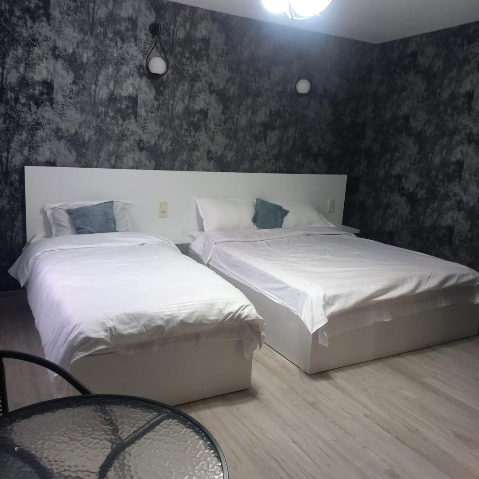 Ira & Vaso'S Guest House Borjomipark Chambre photo