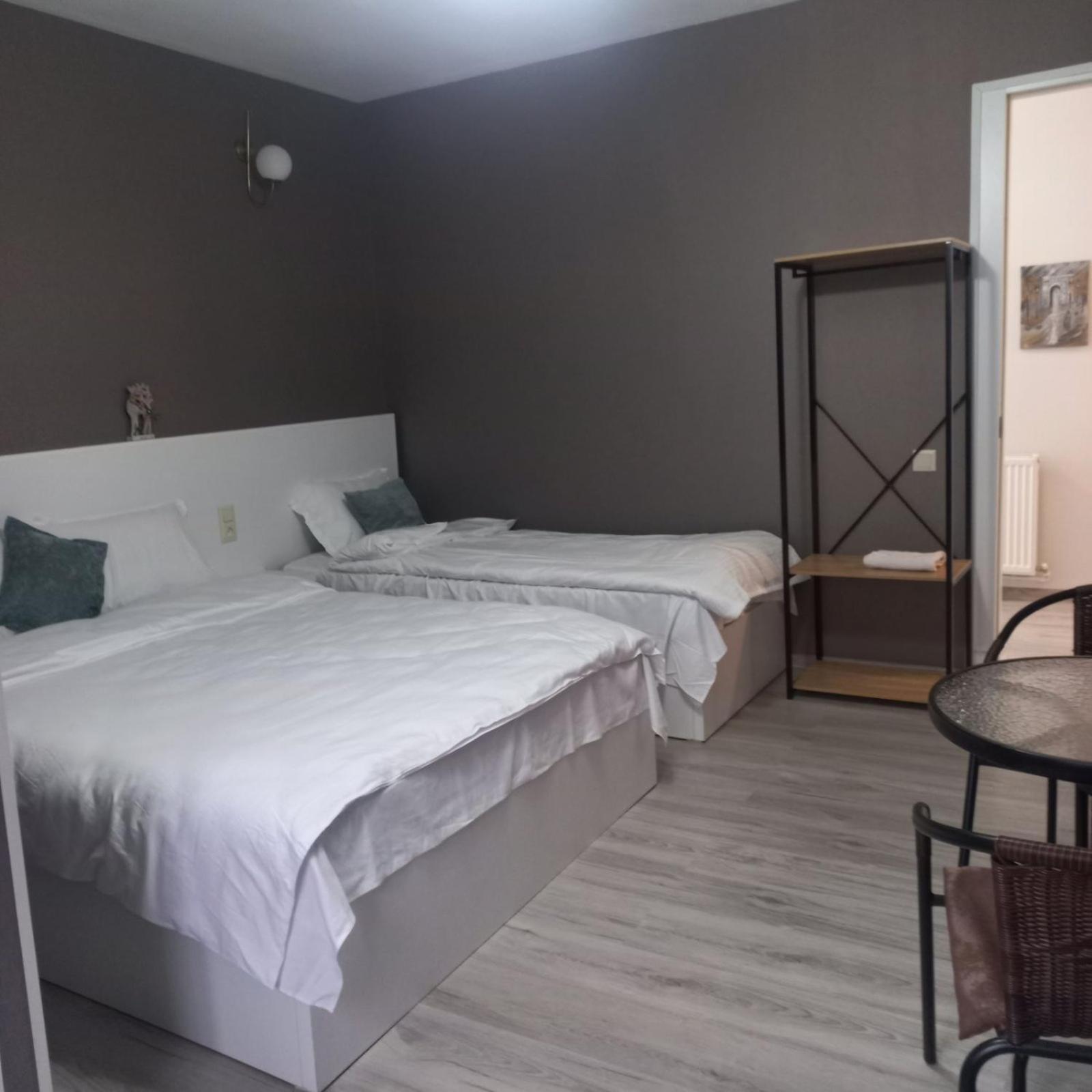 Ira & Vaso'S Guest House Borjomipark Chambre photo